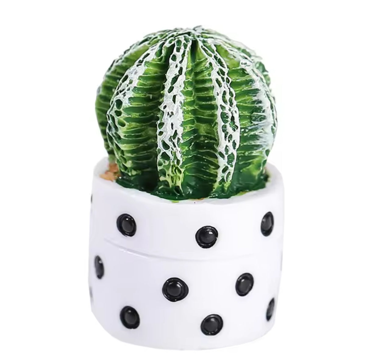 Mini Macetas de Plantas Cactus Florero Miniatura 4uds.