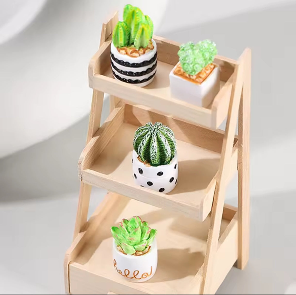 Mini Macetas de Plantas Cactus Florero Miniatura 4uds.