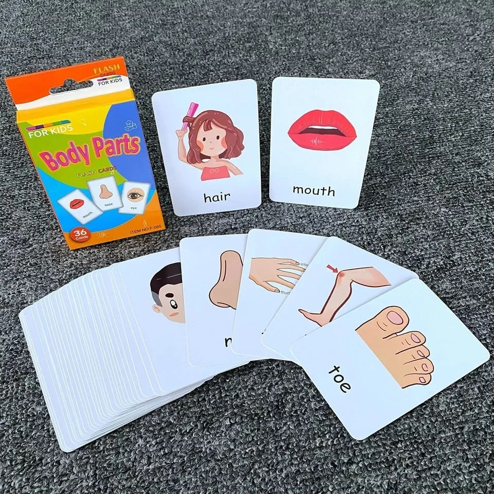 Tarjetas Educativas Partes Del Cuerpo Body Partes En Ingles