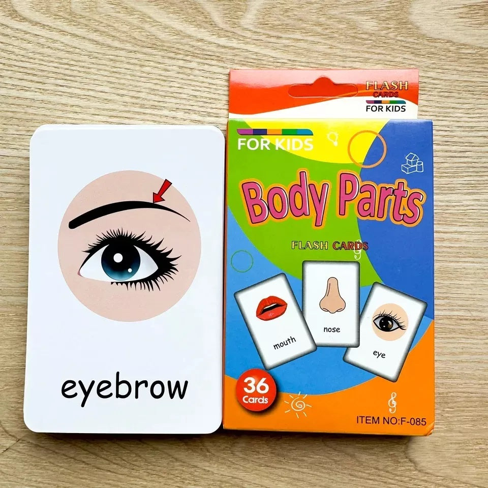 Tarjetas Educativas Partes Del Cuerpo Body Partes En Ingles
