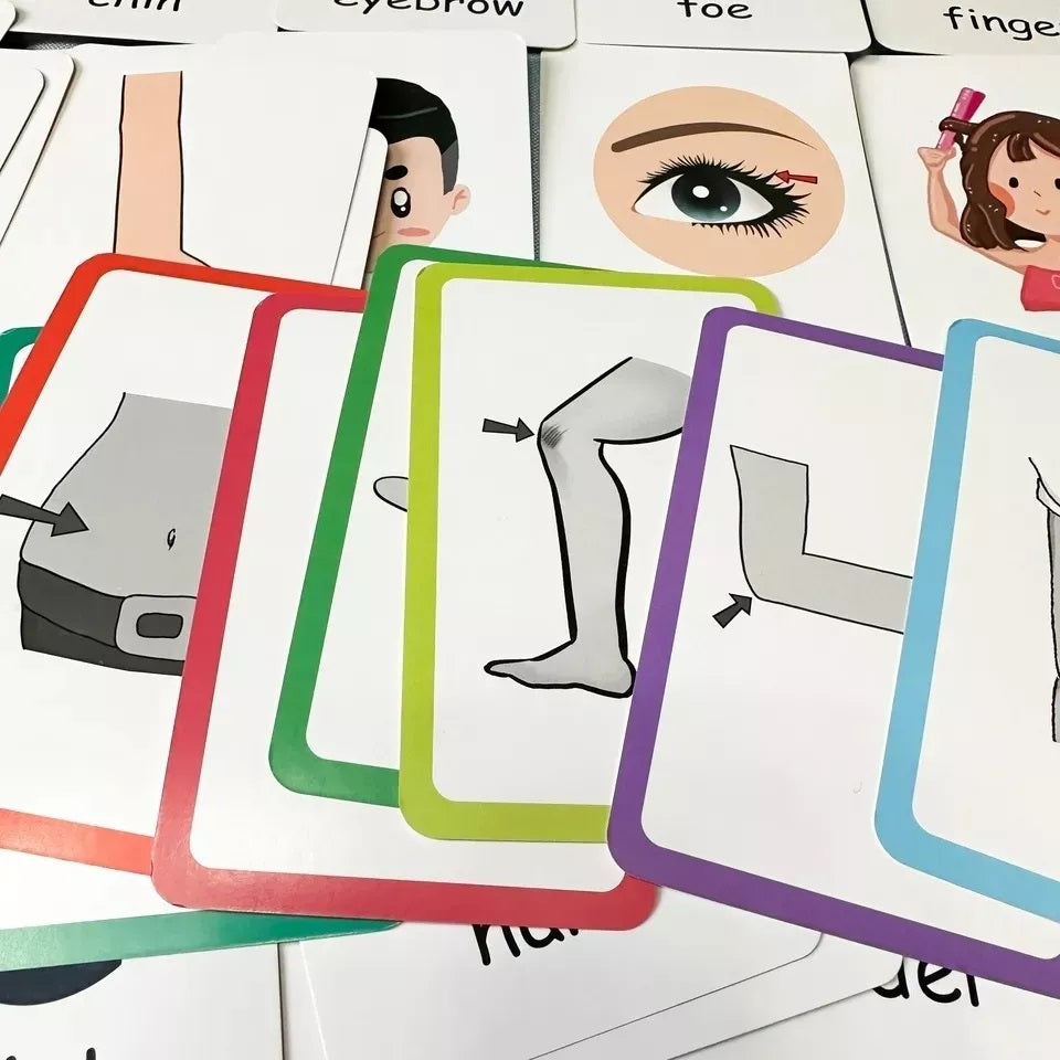 Tarjetas Educativas Partes Del Cuerpo Body Partes En Ingles