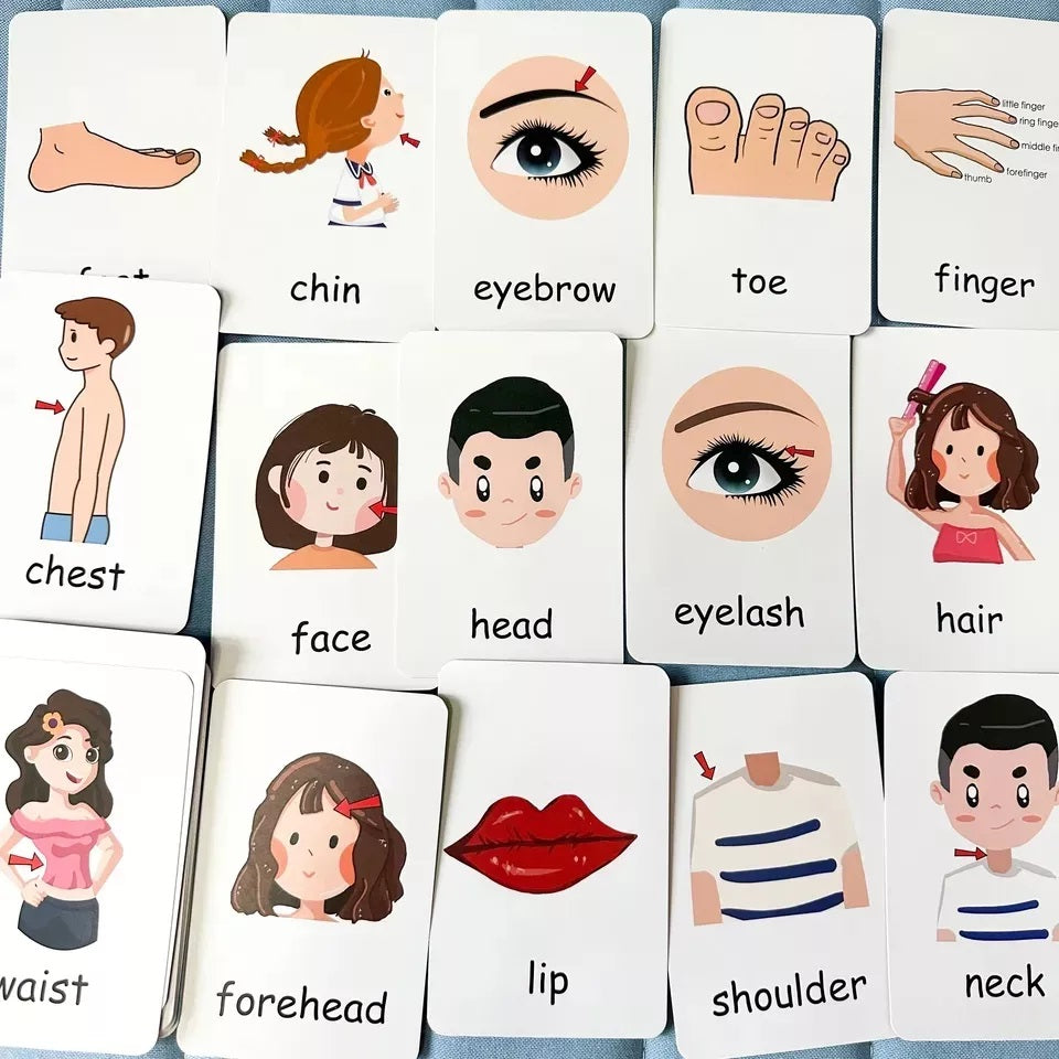 Tarjetas Educativas Partes Del Cuerpo Body Partes En Ingles