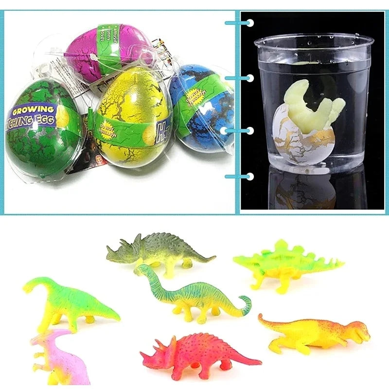 Huevos De Dinosaurio Mágico Con Agua 3uds. Colores Surtidos