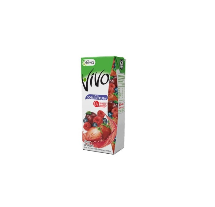 Vivo Néctar de Berries 190ml.